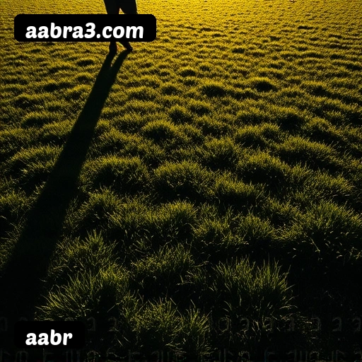 Principais provedores de slots da aabr - NetEnt, Pragmatic Play, Play'n GO